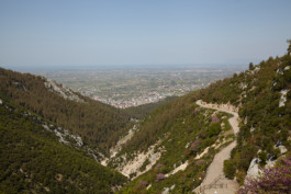 Cora Straßburg